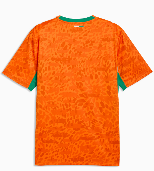 Maillot Domicile Côte d'Ivoire Coupe du Monde 2026 2